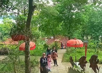 Destinasi Wisata Grobogan Kembali Buka, Embun Bening Kedungombo Curi Perhatian