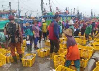 Enggan Melaut, Jumlah Ikan di TPI Rembang Menurun