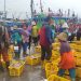 Enggan Melaut, Jumlah Ikan di TPI Rembang Menurun 5 Enggan Melaut, Jumlah Ikan di TPI Rembang Menurun
