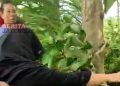 4 Hari Tidak Ketemu, Warga Gelar Ritual Pencarian Jenazah di Sungai Terok 38 4 Hari Tidak Ketemu, Warga Gelar Ritual Pencarian Jenazah di Sungai Terok