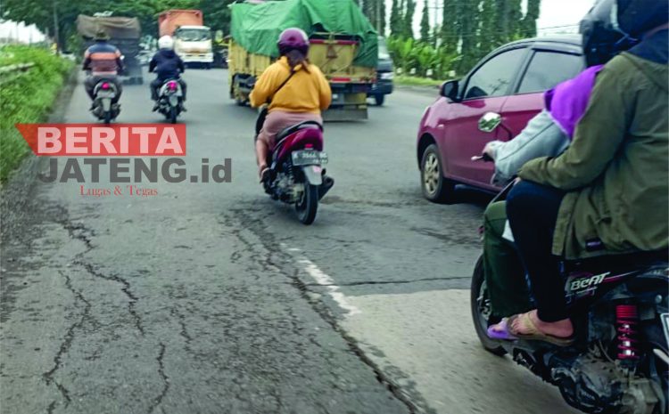 Langganan Jalan Rusak, DPRD Pati Narso : Semua OPD harus gerak cepat