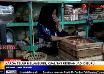 Pedagang telur di Pasar Tradisional Kabupaten Batang. (Tangkapan Layar Lingkar TV)