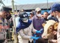 Cegah PMK, Ini yang dilakukan Pemerintah Kabupaten Temanggung 19 Cegah PMK, Ini yang dilakukan Pemerintah Kabupaten Temanggung