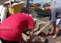 DLH Cilacap Pastikan Kondisi Perairan Bersih dari Tumpahan Minyak Mentah 15 Warga setempat mengangkut tumpahan minyak yang mereka kumpulkan dari perairan Cilacap, Selasa (28/06). (Antara/Beritajateng.id)
