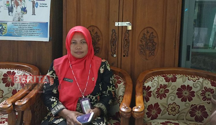 Masa Inkubasi PMK 14 Hari, Ini Pesan Dinpertanpangan Demak 1 Masa Inkubasi PMK 14 Hari, Ini Pesan Dinpertanpangan Demak
