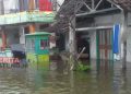 50 Rumah di Karangsari Kendal Terendam Akibat Banjir Rob 18 50 Rumah di Karangsari Kendal Terendam Akibat Banjir Rob