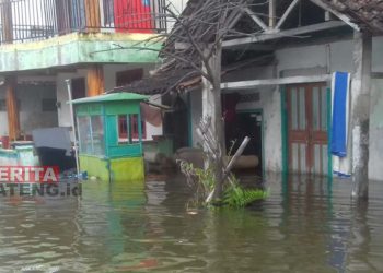 50 Rumah di Karangsari Kendal Terendam Akibat Banjir Rob