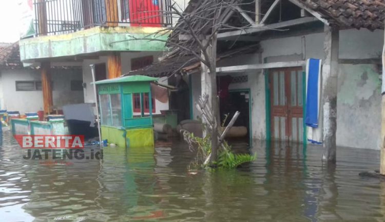 50 Rumah di Karangsari Kendal Terendam Akibat Banjir Rob
