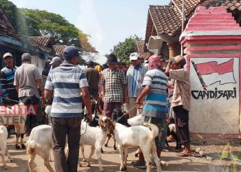 Pasar Hewan Pamotan Sering Akibatkan Kemacetan, Bupati Rembang Rencanakan Pemindahan pada 2023
