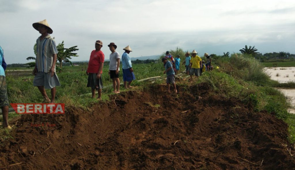 Alat berat diturunkan guna menutup tanggul Sungai Togasil, Desa Margomulyo, Kecamatan Tayu, Kabupaten Pati yang jebol. (Arif Febriyanto/Beritajateng.id)