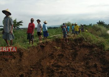 Alat berat diturunkan guna menutup tanggul Sungai Togasil, Desa Margomulyo, Kecamatan Tayu, Kabupaten Pati yang jebol. (Arif Febriyanto/Beritajateng.id)