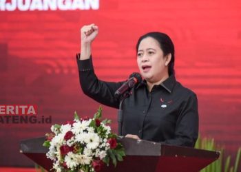Ketua DPP PDI Perjuangan (PDIP), Puan Maharani. (Istimewa)