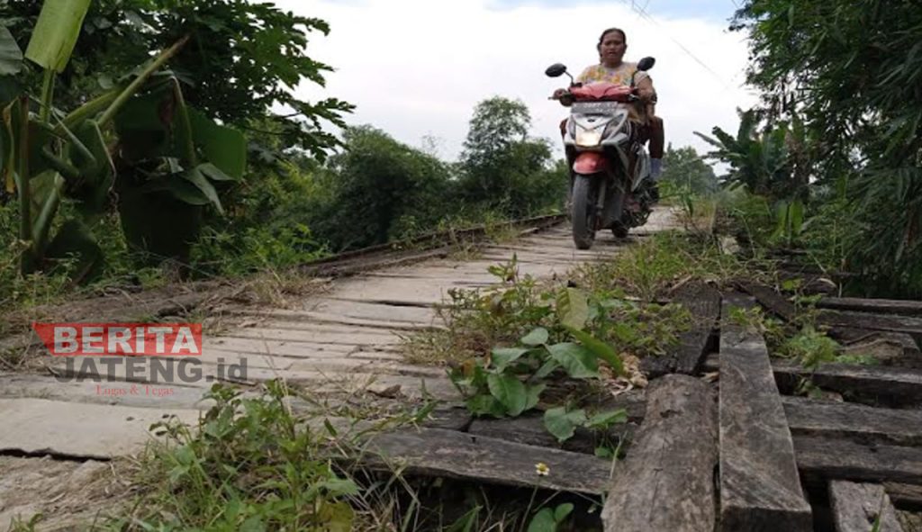Potret jembatan rusak di Desa Bandungharjo, Kecamatan Toroh, Kabupaten Grobogan. (Muhamad Ansori/Koran Lingkar)