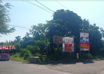 Sejumlah papan reklame di Desa Tanjungmojo, Kecamatan Kangkung, Kabupaten Kendal belum membayar pajak. (Unggul Priambodo/Koran Lingkar)