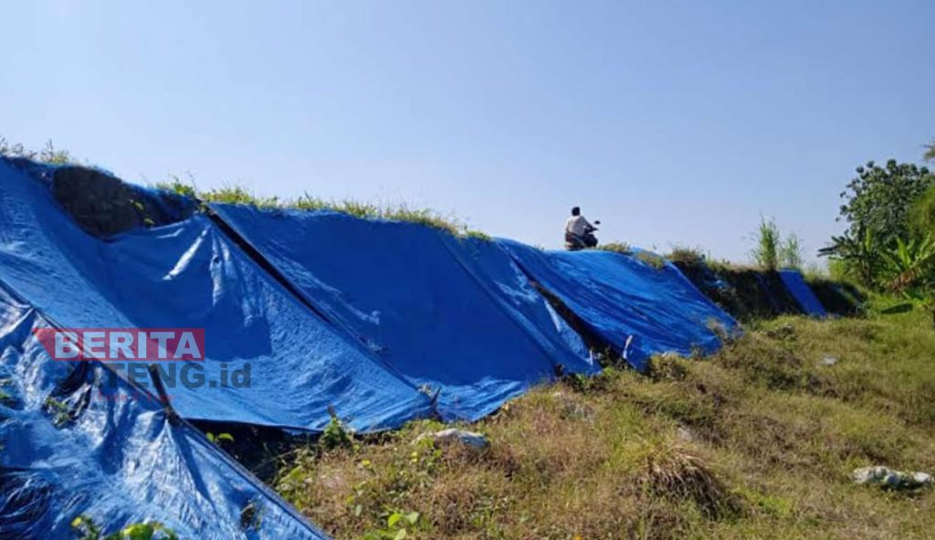 Kondisi tanggul Sungai Tuntang di Desa Papanrejo di Kecamatan Gubug, Kabupaten Grobogan yang hanya ditutup terpal oleh pihak kontraktor. (Muhamad Ansori/Koran Lingkar)