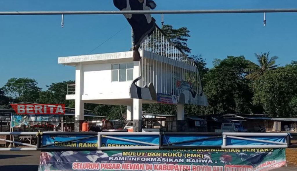 Kondisi Pasar Hewan Jelok sepi karena masih ditutup untuk cegah wabah PMK di Pasar Hewan Jelok Cepogo Kabupaten Boyolali pada Jumat, 19 Agustus 2022. (Istimewa/Lingkar.news)