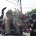 Meriahkan G20, 2.000 Warga Borobudur Magelang Ikuti Kirab Budaya 8 Peserta dari Desa Kembanglimus mengusung instalasi gajah pada kirab budaya G20 di Kecamatan Borobudur, Kabupaten Magelang pada Senin, 12 September 2022. (Istimewa)