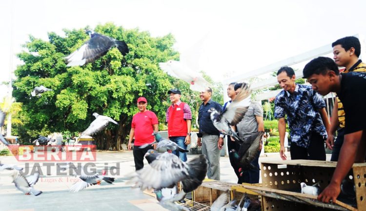 Komunitas Merpati Pos Silugonggo Lepas Sejumlah Burung di Alun-alun Pati