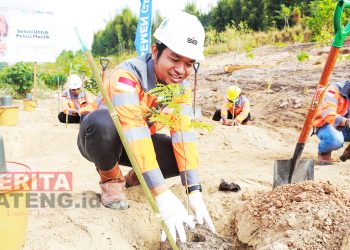 Hari Lingkungan Hidup Sedunia, Semen Gresik Gelar Penanaman Puluhan Pohon di Area Reklamasi Tambang