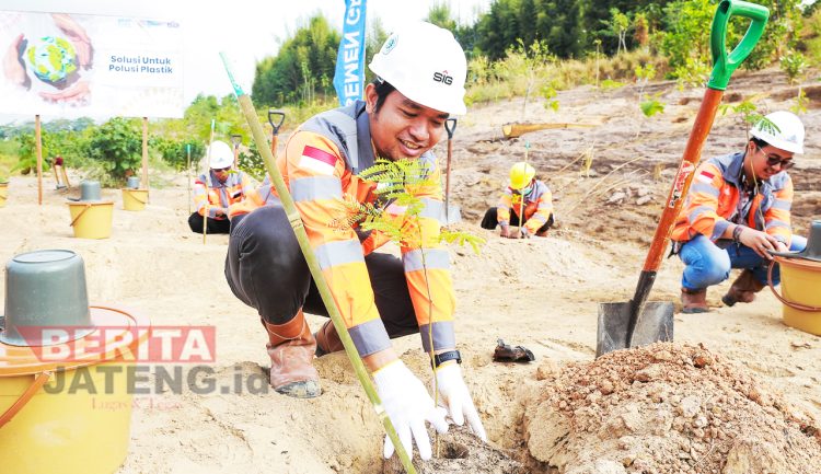 Hari Lingkungan Hidup Sedunia, Semen Gresik Gelar Penanaman Puluhan Pohon di Area Reklamasi Tambang 1 Hari Lingkungan Hidup Sedunia, Semen Gresik Gelar Penanaman Puluhan Pohon di Area Reklamasi Tambang