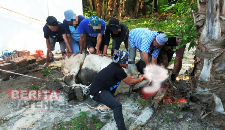 Ratusan Warga Binaan Rutan Rembang Nikmati Momen Idul Adha 2023