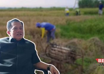 Anggota Komisi B Harap Harga Gabah di Pati Stabil saat Musim Panen