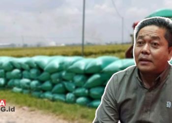 Ketua DPRD Pati Harap Harga Gabah Tidak Dipermainkan Tengkulak