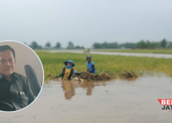 Anggota Komisi B Dorong Pemkab Pati Beri Perhatian Sektor Pertanian Pasca Banjir