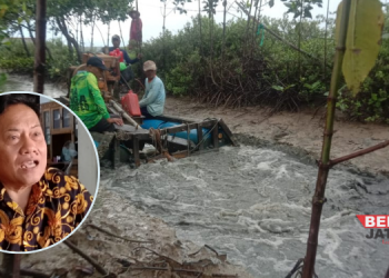 Dewan Pati Ingatkan Pentingnya Lindungi Hutan Mangrove