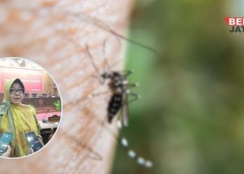 Wakil Ketua Komisi D DPRD Pati, Endah Sri Wahyuningati. (Arif Febriyanto/Beritajateng.id)