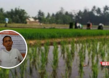 Anggota Komisi B DPRD Pati, Narso. (Arif Febriyanto/Beritajateng.id)