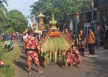 SEDEKAH BUMI: Warga Desa Ketanggan, Kecamatan Gembong, Kabupaten Pati mengarak gunungan hasil bumi dalam rangka sedekah bumi pada Selasa, 14 Mei 2024. (Arif Febriyanto/Beritajateng.id)