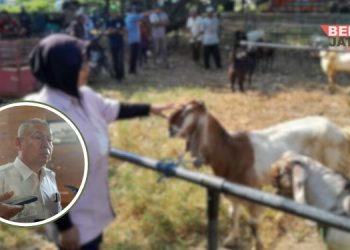 Wakil Ketua II Dewan Perwakilan Rakyat Daerah (DPRD) Kabupaten Pati, Hardi. (Arif Febriyanto/Beritajateng.id)