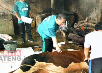 Direktur RS Mitra Bangsa melakukan pengecekan penyembelihan hewan kurban di Desa Blaru, Pati kota pada Selasa (18/6). (Setyo Nugroho/Lingkar)