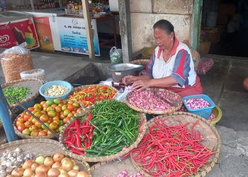Dipengaruhi Cuaca, Harga Cabai Rawit di Semarang Melonjak 10 Dipengaruhi Cuaca, Harga Cabai Rawit di Semarang Melonjak
