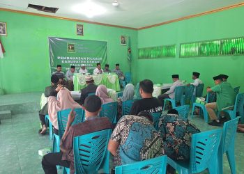 DPC PPP Sodorkan 3 Nama  untuk Maju di Pilbup Demak