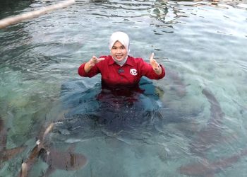 Sensasi Uji Adrenalin Berenang Bersama Hiu di Penangkaran Hiu Karimunjawa