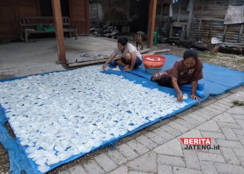 Harga Singkong Meroket Bikin Perajin Keripik di Blora Sambat