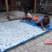 Harga Singkong Meroket Bikin Perajin Keripik di Blora Sambat 8 Harga Singkong Meroket Bikin Perajin Keripik di Blora Sambat