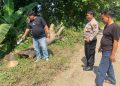 Miris, Warga di Pegandon Kendal Tewas Usai Tertimpa Pohon Tumbang 15 Miris, Warga di Pegandon Kendal Tewas Usai Tertimpa Pohon Tumbang