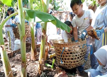 SD Dancingbee School Salatiga Kenalkan Pertanian dan Perkebunan kepada Siswa