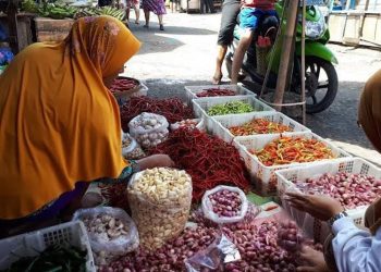 Disperindag Jateng Sebut Iklim Jadi Salah Satu Faktor Naiknya Harga Cabai