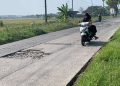 Sering Kecelakaan, Warga Keluhkan Lubang di Jalan Alternatif Karanganyar-Godong Demak