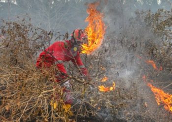 Waspada Kebakaran, BPBD Salatiga Imbau Warga Tak Bakar Sampah Sembarangan