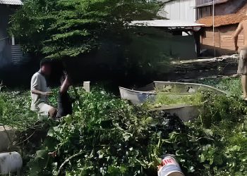 Komunitas “Susuri” Gelar Aksi Bersih-Bersih Sungai Bremi di Pekalongan