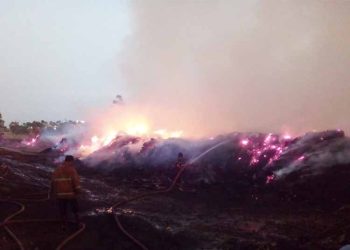Lahan Penampungan Limbah Kayu di Donorojo Jepara Hangus Terbakar, Ini Penyebabnya