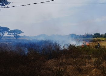 Akibat Bakar Sampah, 1 Hektare Sawah di Jepara Hangus Terbakar 7 Akibat Bakar Sampah, 1 Hektare Sawah di Jepara Hangus Terbakar