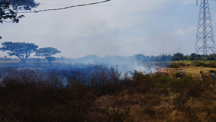 Akibat Bakar Sampah, 1 Hektare Sawah di Jepara Hangus Terbakar 1 Akibat Bakar Sampah, 1 Hektare Sawah di Jepara Hangus Terbakar