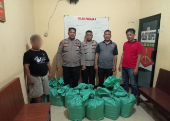 Polsek Demak Gagalkan Pengiriman Ratusan Arak dari Grobogan ke Demak 