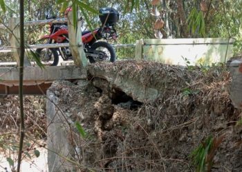 Tebing Talut Jembatan Balongrejo Blora Ambrol, Warga Minta Bupati Turun Tangan